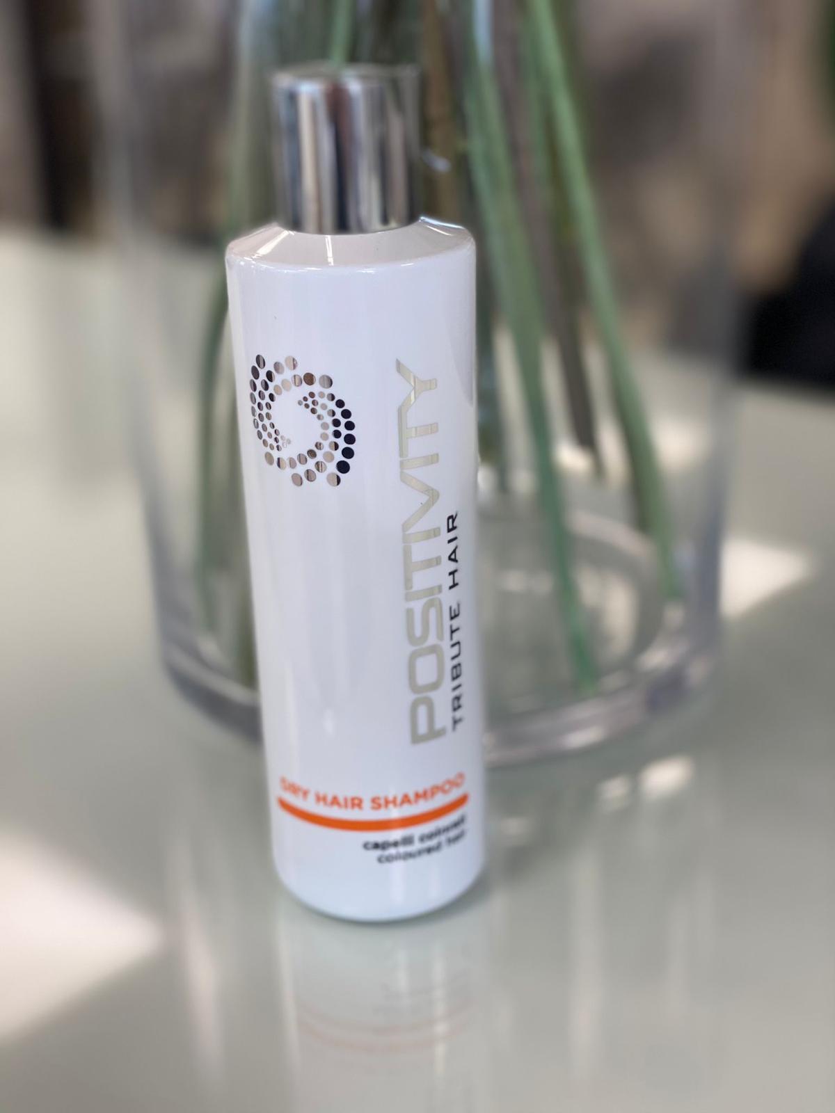 Positivity Dry Hair Shampoo