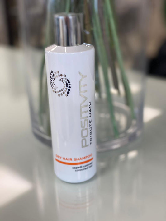 Positivity Dry Hair Shampoo
